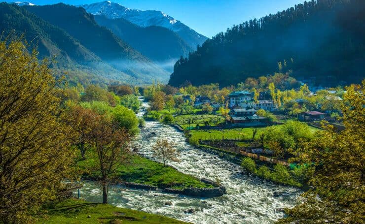 Pahalgam Pine Valley