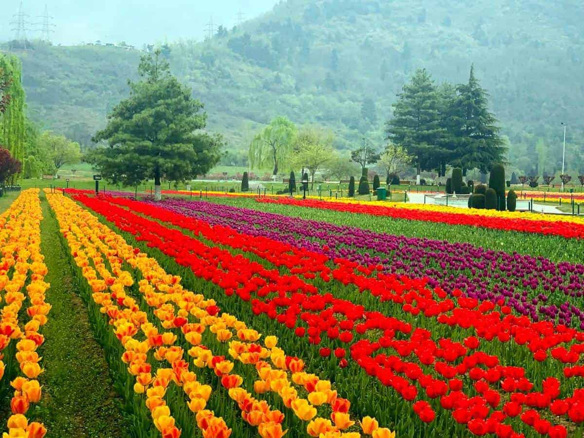 Beautiful Kashmir trip