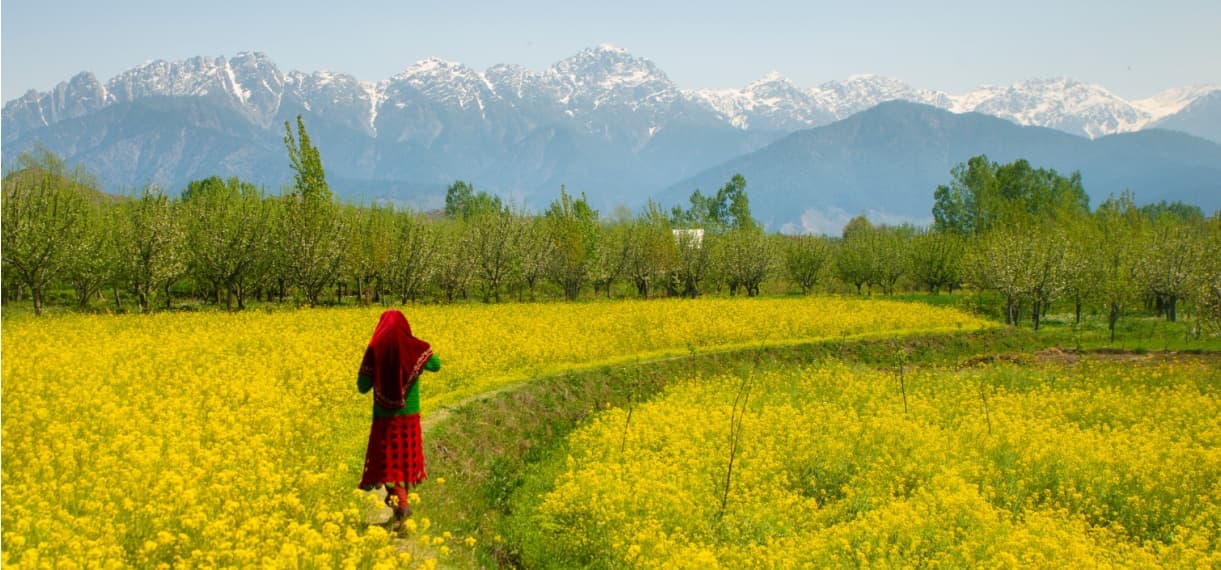 Marvelous Kashmir