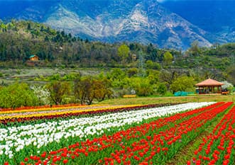 Kashmir Alpine Trails