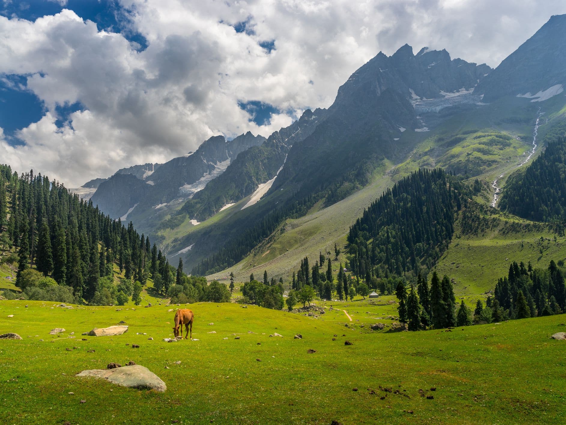 Ultimate Kashmir