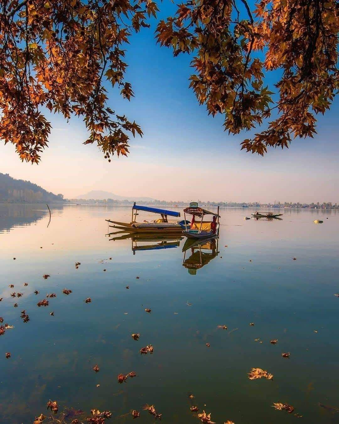 Valley Vibes Kashmir