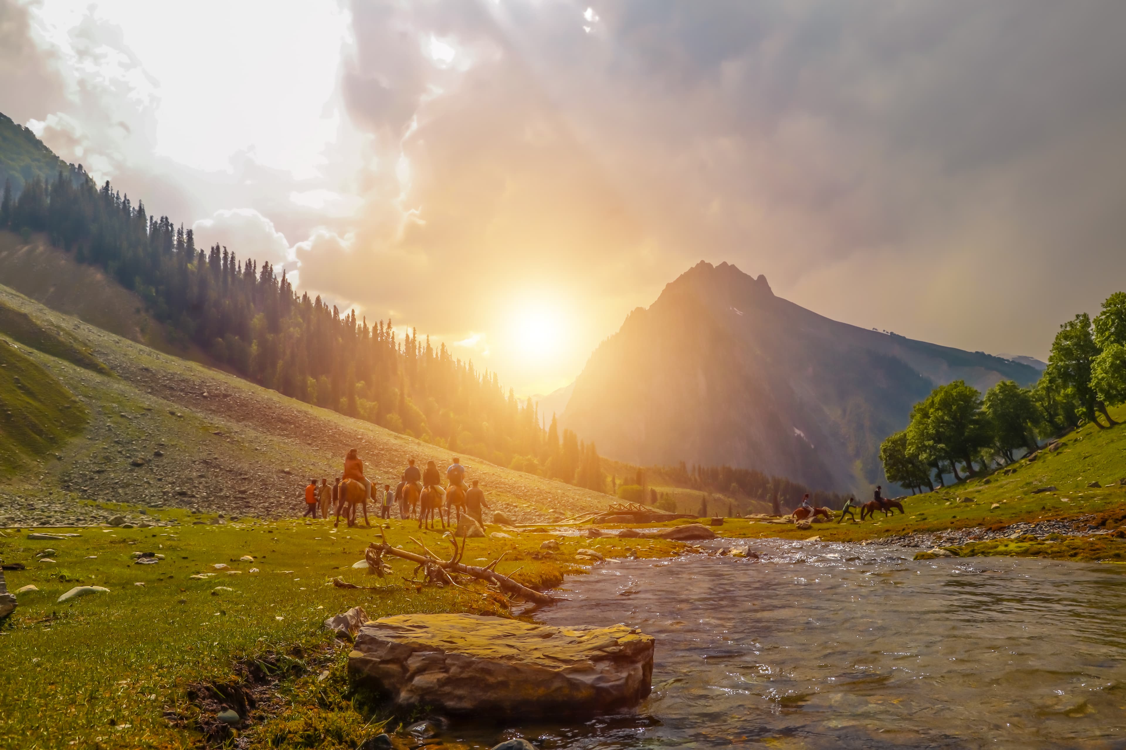Kashmir Honeymoon Special